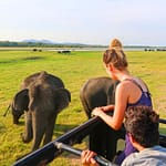 wild life srilakan