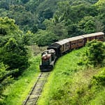 sri-lanka-5222494_1280